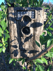 moultrie 4